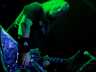 Overkill 11/24/13 