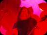 Slayer 11/29/14